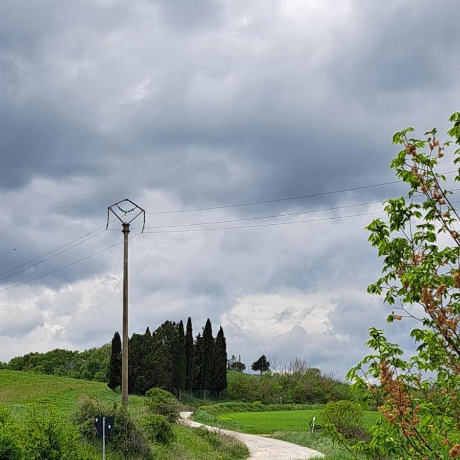 Affittacamere Alba Fiorita Castiglione dʼOrcia Buitenkant foto