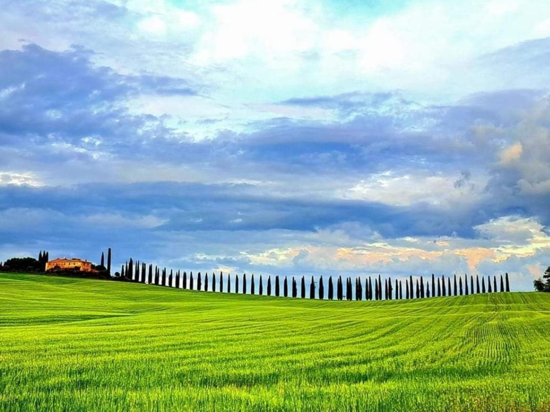 Affittacamere Alba Fiorita Castiglione dʼOrcia Buitenkant foto