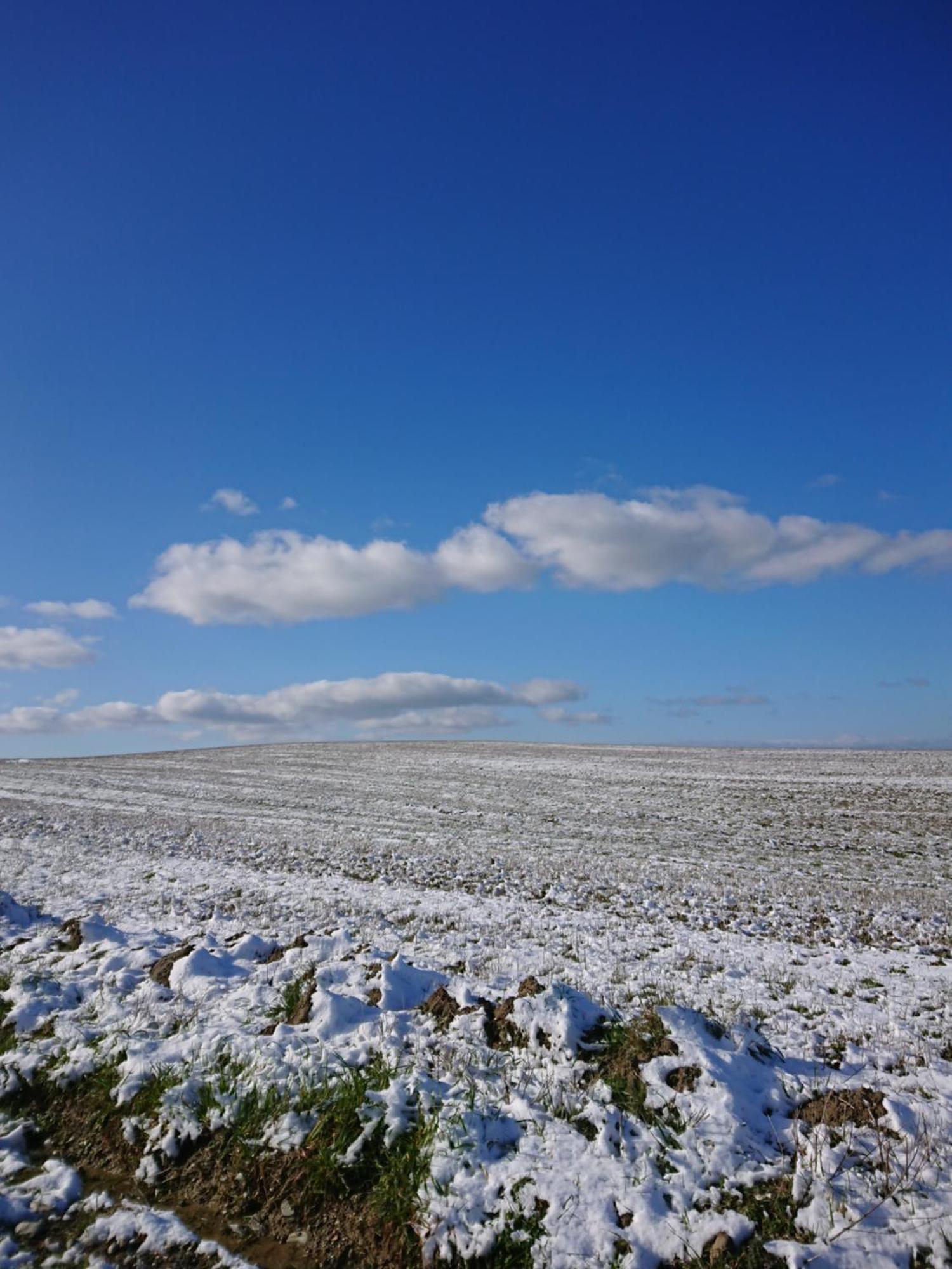 Affittacamere Alba Fiorita Castiglione dʼOrcia Buitenkant foto